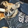 Angel🐾& Esme🐾❤️&💚🏈💙&⚾️Gail👨‍🦼CRPS's profile picture