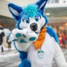 Tye Husky 的头像