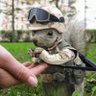 Profilbild von MD7.62 🇭🇰 🇹🇼 🇺🇦