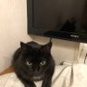 vera profil fotoğrafı