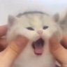 サトル's profile picture