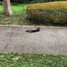Фото профиля レオン