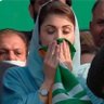 Nusrat Javed 的头像