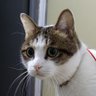 Profilbild von 孙某人
