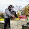 Yurii bee profil fotoğrafı