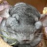 まさやん's profile picture