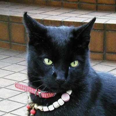 FarEastRadioJ's profile picture