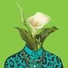 Фото профиля Flowering Youth