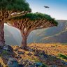 Фото профиля هاشم