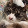 02 profil fotoğrafı
