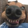 Banana Republic's profile picture