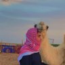 Profilbild von عادل الحريبي