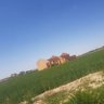Фото профиля أبو معاوية فاروق بن عبد الرحمان