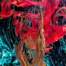 Фото профиля آتیش
