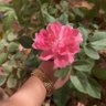 اطيب قلب ❤️'s profile picture
