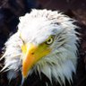 Jonas Aimar Cardozo's profile picture