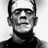 Profilbild von francisco zarate