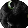 にゃんべ's profile picture