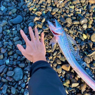 まみむめも。's profile picture