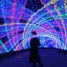 Фото профиля ゆりブ〜（ゆりえもん）