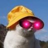 Steven's profile picture