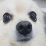 Profilbild von ミユウ
