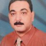 Tarek Aly's profile picture