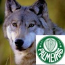 Wolf ...'s profile picture