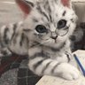 Profilbild von Ичтожество