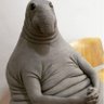 Agustin Paco's profile picture