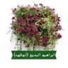 Фото профиля صباح , مساء | الخير