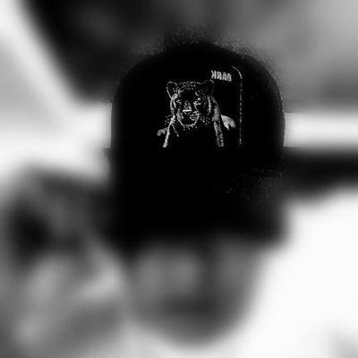Mictlantecuhtli's profile picture