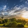 MONDE AGRICOLE profil fotoğrafı
