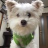 やまちゃん's profile picture