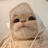 Secrecygirly profil fotoğrafı