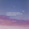 AN_nyx✨🖇️ 的头像