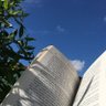 تعلم الإنجليزية مع رغد 的头像