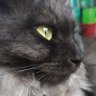 この世界's profile picture