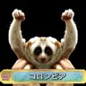 ちゅんく profil fotoğrafı