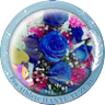 ( ❨❨❨ルッシァ~ナナっぺぇ🫧✨🧊🎶🐥☆Yuranofsky❄🎁⛸️@美しさは正義🥹's profile picture