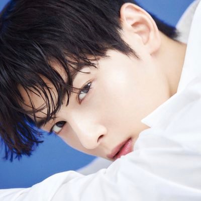 딩딩딩's profile picture