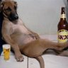 Фото профиля Alex Mascarado