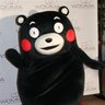 くまもんの野望 的头像