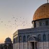 alaa abualhalaweh 的头像