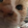 Profilbild von 嶽