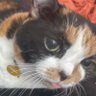 Stef's profile picture