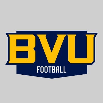 BVU Football's profile picture