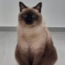 Фото профиля Ma Desgi