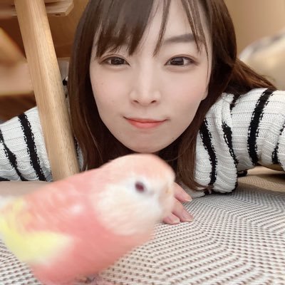 襟川麻衣子🍢's profile picture