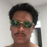 Profilbild von lobisomen do arvoredo, só admirando a bicharada